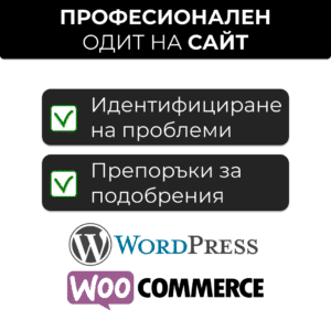 Професионален одит на Wordpress сайт